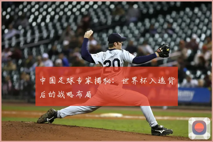 中国足球专家揭秘:世界杯入选背后的战略布局