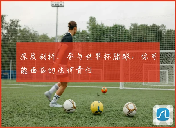 深度剖析：参与世界杯赌球，你可能面临的法律责任
