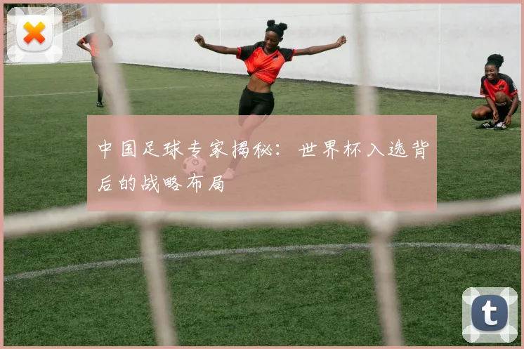 中国足球专家揭秘:世界杯入选背后的战略布局