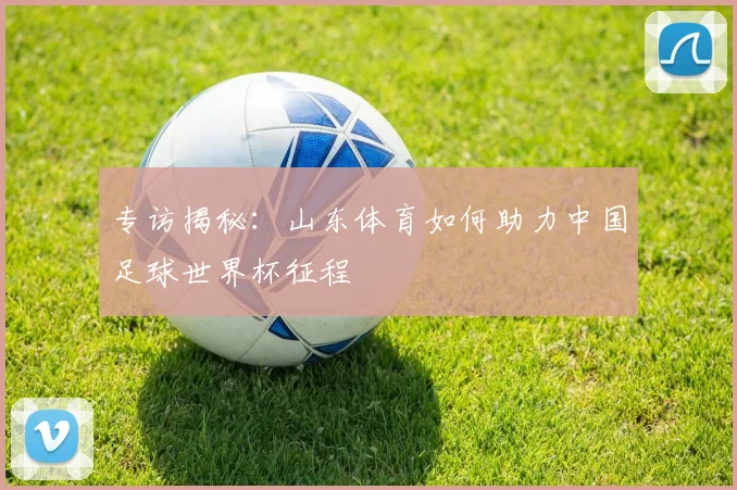 专访揭秘:山东体育如何助力中国足球世界杯征程