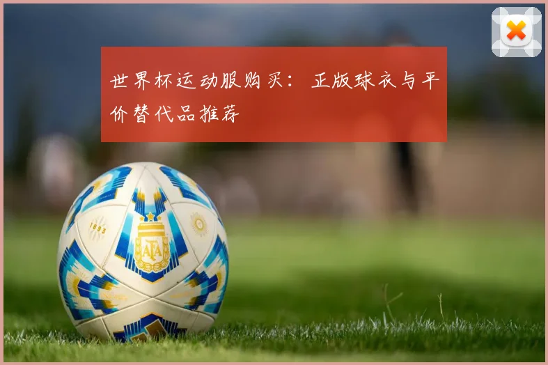 世界杯运动服购买：正版球衣与平价替代品推荐